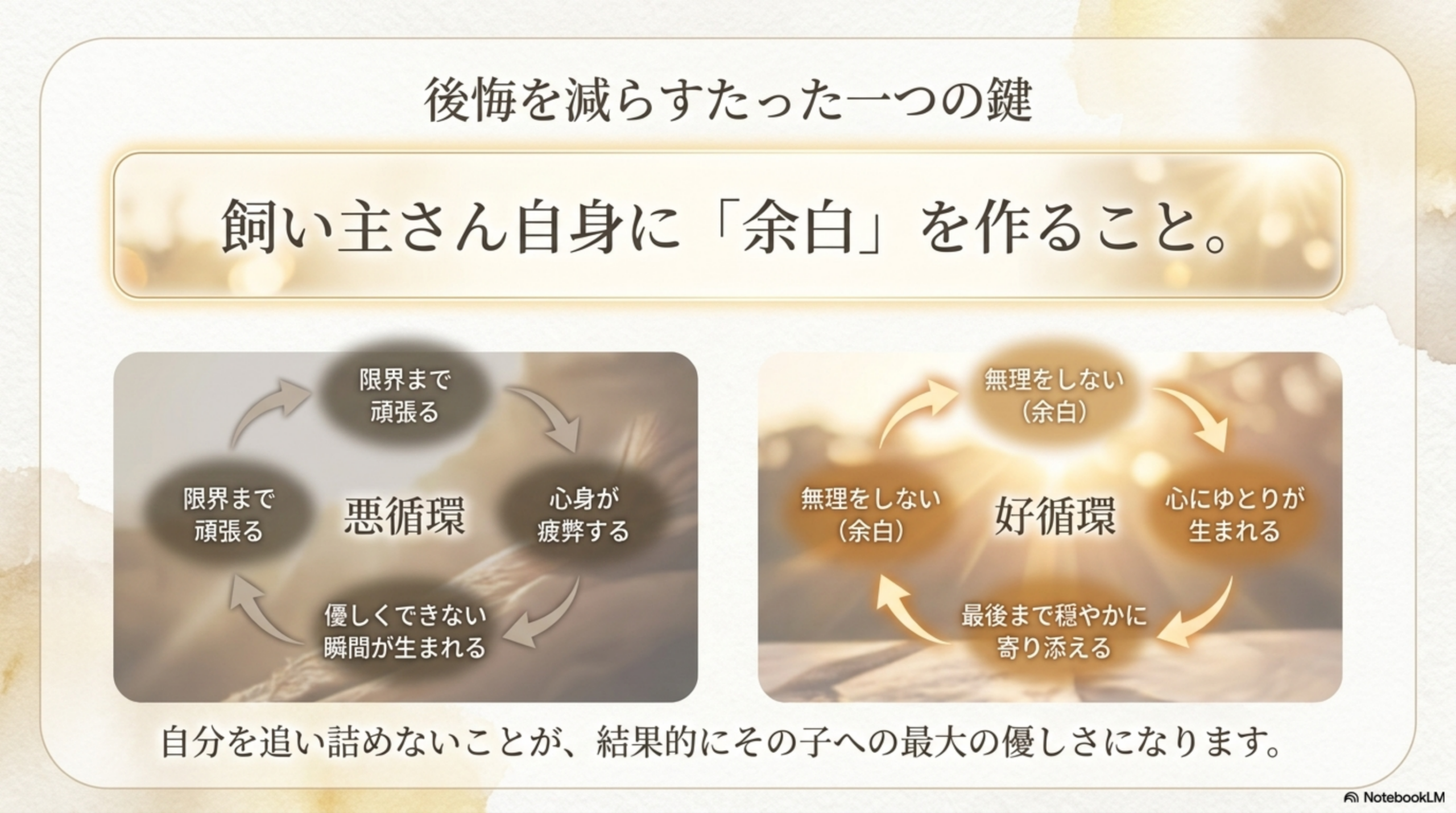 後悔を減らすたった一つの鍵 飼い主さん自身に余白を作ること 好循環と悪循環