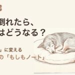 自分が倒れたら、この子はどうなる？｜老犬と暮らす人のための「もしもノート」と心の保険