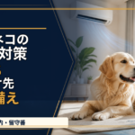 イヌ・ネコの熱中症対策｜夏の預け先と7つの備え