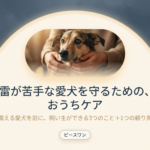 【梅雨の不安】雷を怖がる愛犬へ｜おうちでできる3つのケアと預け先という選択