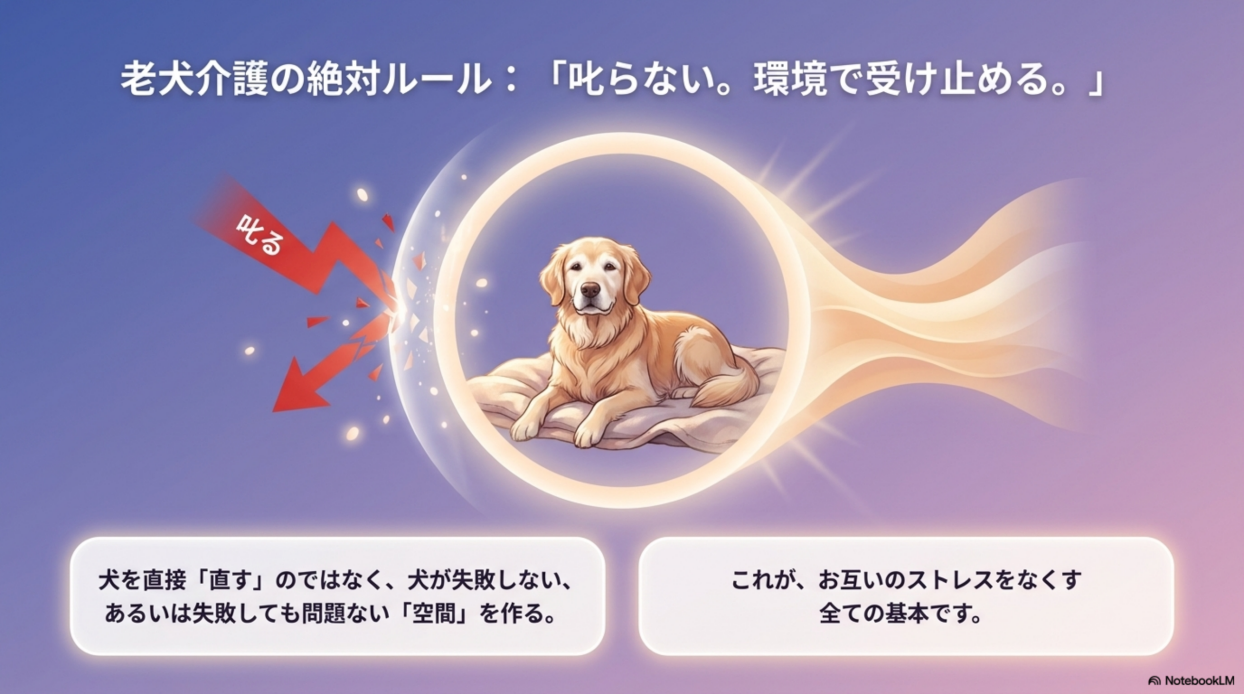 老犬介護の絶対ルール:叱らない、環境で受け止める