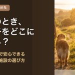 旅行のとき、大型犬をどこに預ける？｜ケージなしで安心できる「本当の」施設の選び方