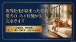 海外赴任が決まったら。愛犬の6ヶ月預かり、3つの選択肢と費用相場【全国対応】